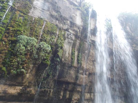 ��̨ɽ֮��֮���롪��������